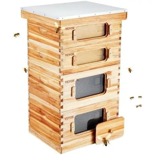 40 Frame Bee Hive Starter Kit - Beeswax-Coated Cedar, 2 Deep & 2 Medium Boxes, Langstroth Design, Acrylic Windows, Perfect For