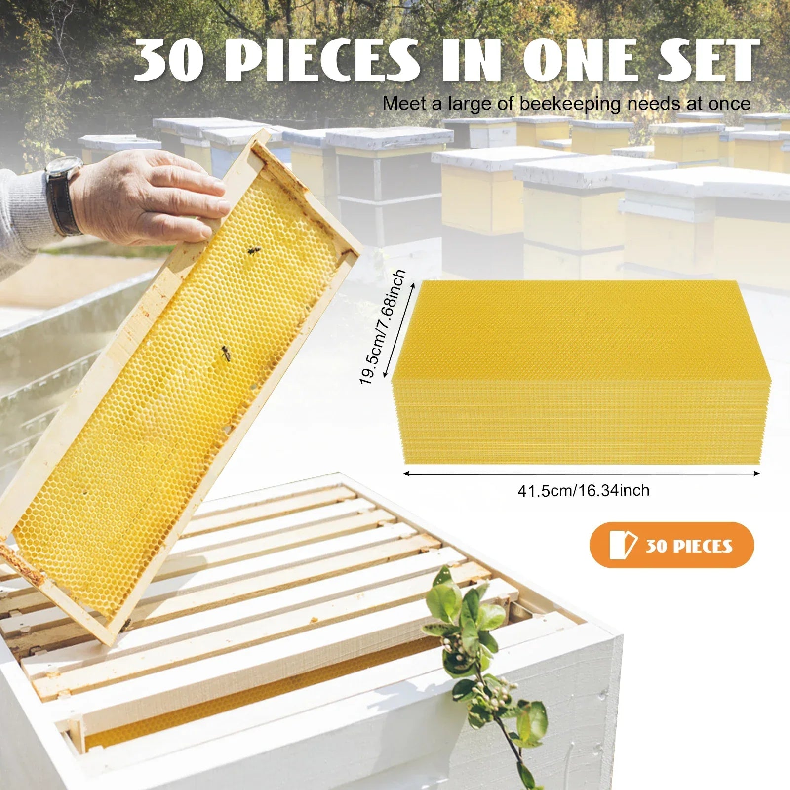 30 PCS Beeswax Honeycomb Bee Honey Sheets Beehive Wax Beekeeping Frames Hive Tool for Extraction of Natural From Honey Bee Hives
