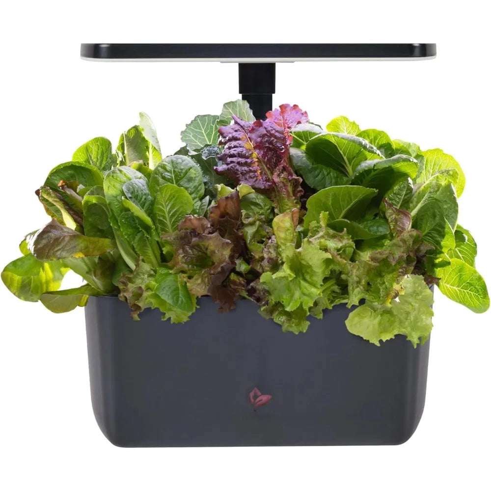 Indoor Garden Hydroponic System with LED Growth Lights, Capable of Accommodating 6 AeroGarden Pods and Charcoal