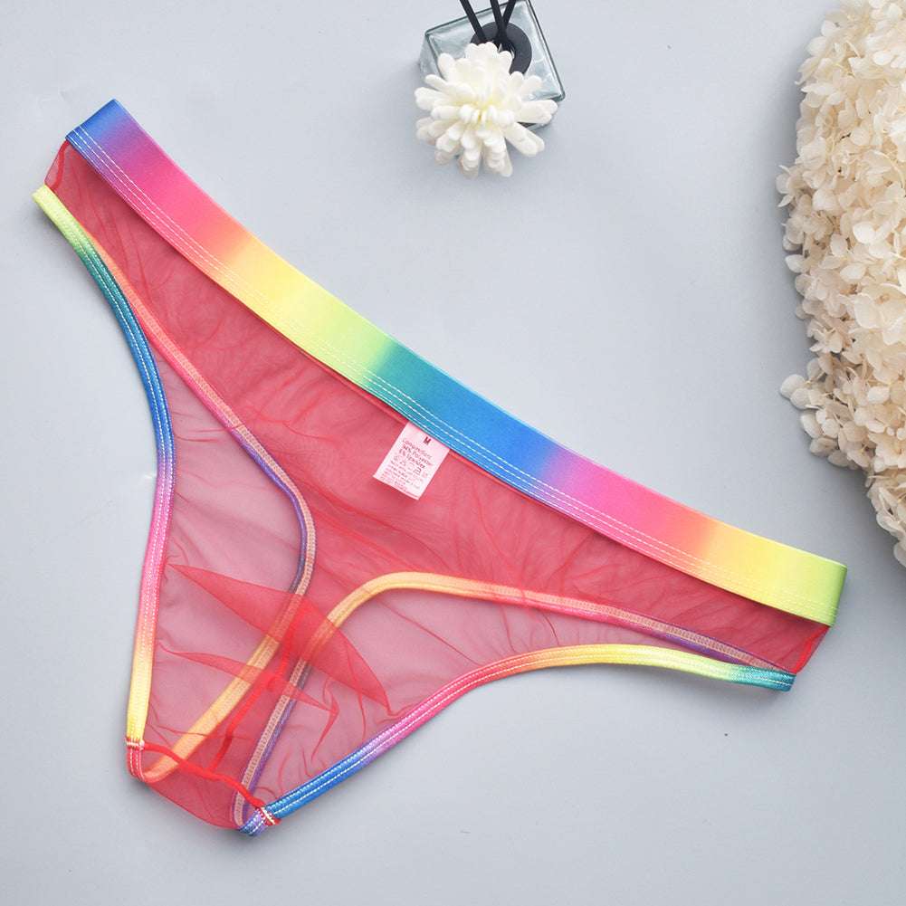 Men's Underwear Low Waist Briefs See through Thong Mesh Underpants Bulge