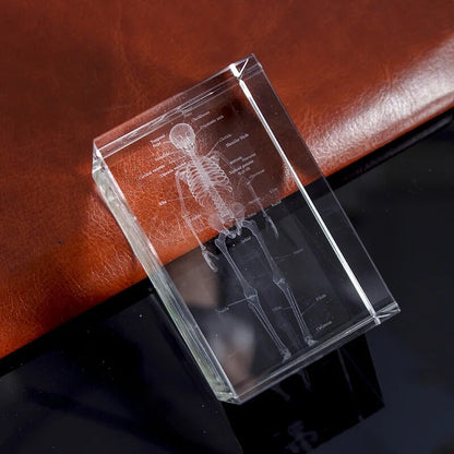 Crystal Skeleton Cube Model, 3D Laser Engraved Human Anatomical Statue, Paperwe image 3