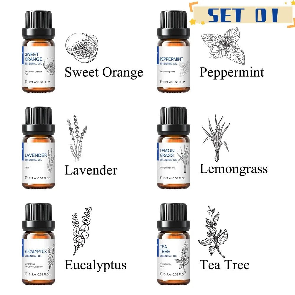 HIQILI 6 pcs Essential Oils Set for Diffuser Humidifier Eucalyptus Mint Laverde image 4