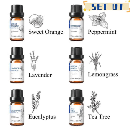 HIQILI 6 pcs Essential Oils Set for Diffuser Humidifier Eucalyptus Mint Laverde image 4