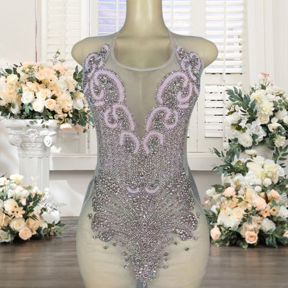 Crystal Beading Sheath Homecoming Dresses Short for Girls 2025 Crew Neckline Di