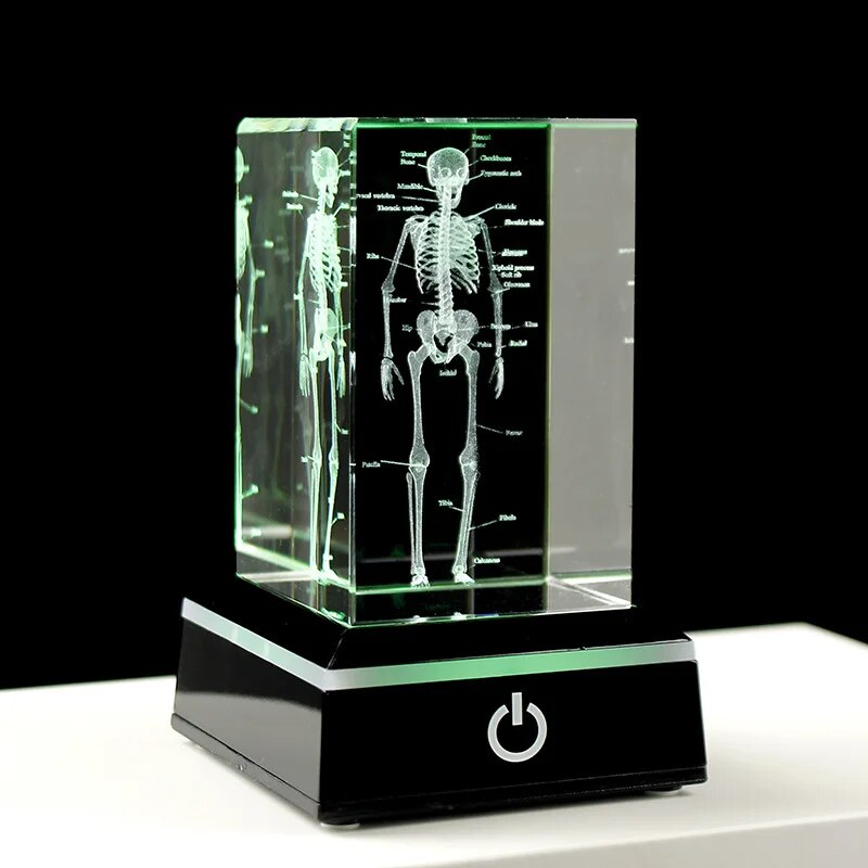 Crystal Skeleton Cube Model, 3D Laser Engraved Human Anatomical Statue, Paperwe image 0