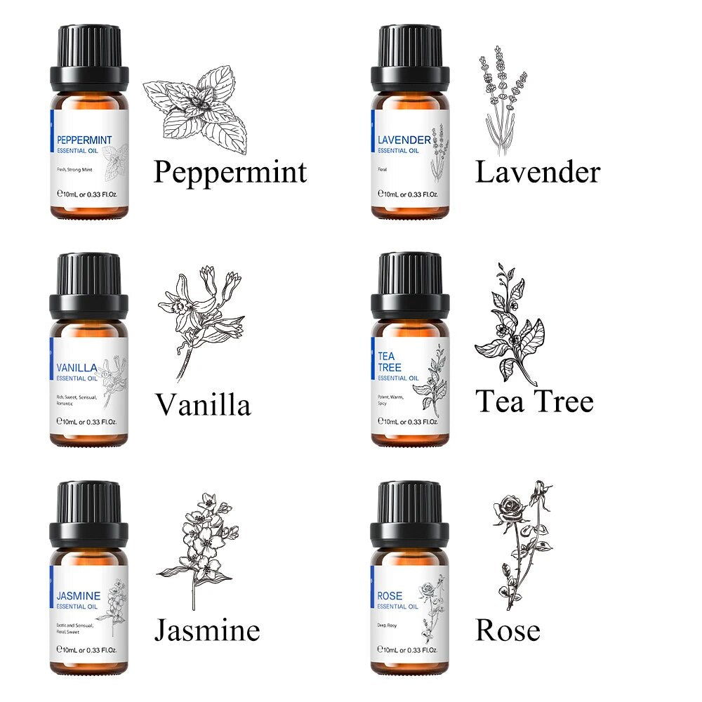 USA Essentials 6 pcs Essential Oils Set for Diffuser Humidifier Eucalyptus Mint Laverde image 2