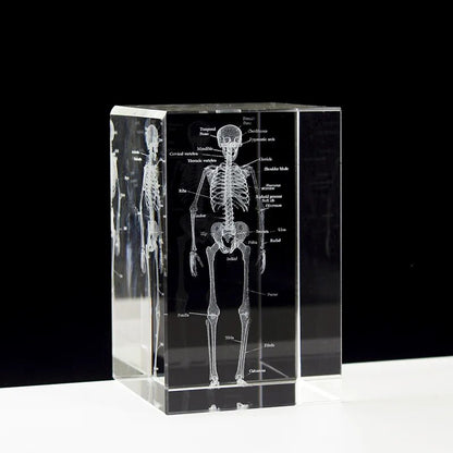 Crystal Skeleton Cube Model, 3D Laser Engraved Human Anatomical Statue, Paperwe image 4