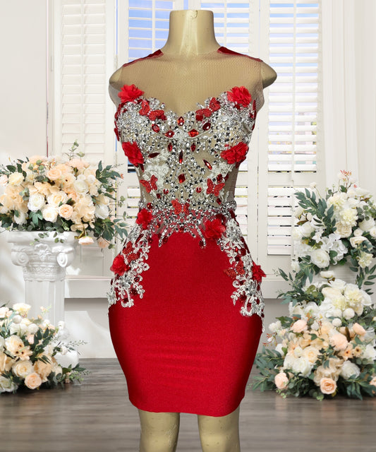 Red Sheath Crystal Homecoming Dresses for Girls 2025 Crystal Beading Hand Made