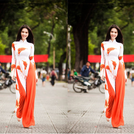 Authentic Vietnam Women Ethnic Clothing Aodai Dress Traditional Two Pieces Set