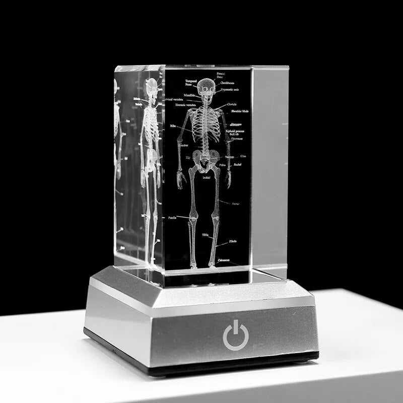 Crystal Skeleton Cube Model, 3D Laser Engraved Human Anatomical Statue, Paperwe image 1