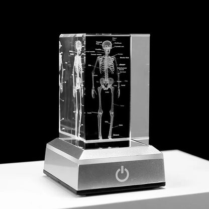Crystal Skeleton Cube Model, 3D Laser Engraved Human Anatomical Statue, Paperwe image 1