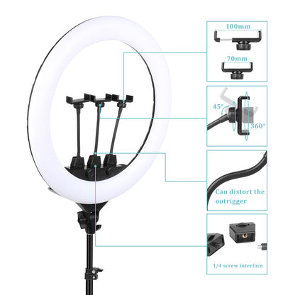 22" LED Light Rings 3200-6500K Color Temperature 0-100% Brightness With 2M Powe image 2