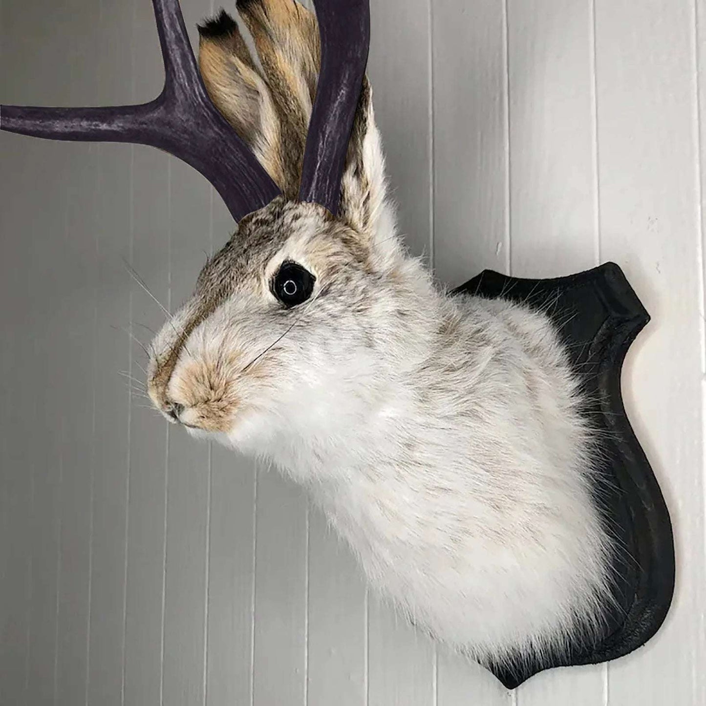 Easter Gift Bunny Head Antlers Wall Hanging Decoration Wall Decor Simulation Rabbit Specimen Resin Art Ornaments Jackalope Decor
