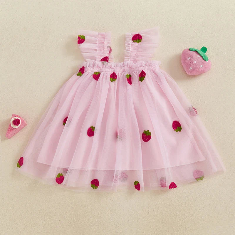 Baby Girl Tulle Dress Sleeveless Square Neck Fruit Embroidery Mesh Dress Toddler Party Aline Dress for 0-4 Years