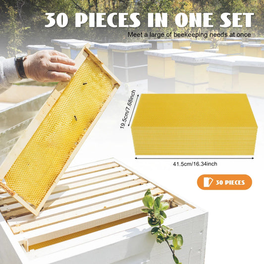 30 PCS Beeswax Honeycomb Bee Honey Sheets Beehive Wax Beekeeping Frames Hive Tool for Extraction of Natural From Honey Bee Hives