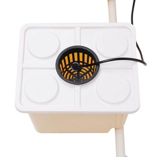 Hydroponics Deep Water Culture DWC  System buckets Drip Growing System