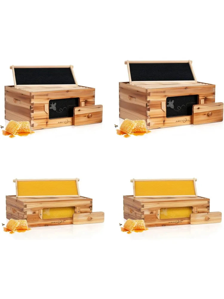 10 Frame Bee Box Starter Kit, Beeswax Coated Bee Hives For Beekeepers, 2 Deep + 2 Medium Langstroth Beehive Kit, Beekee