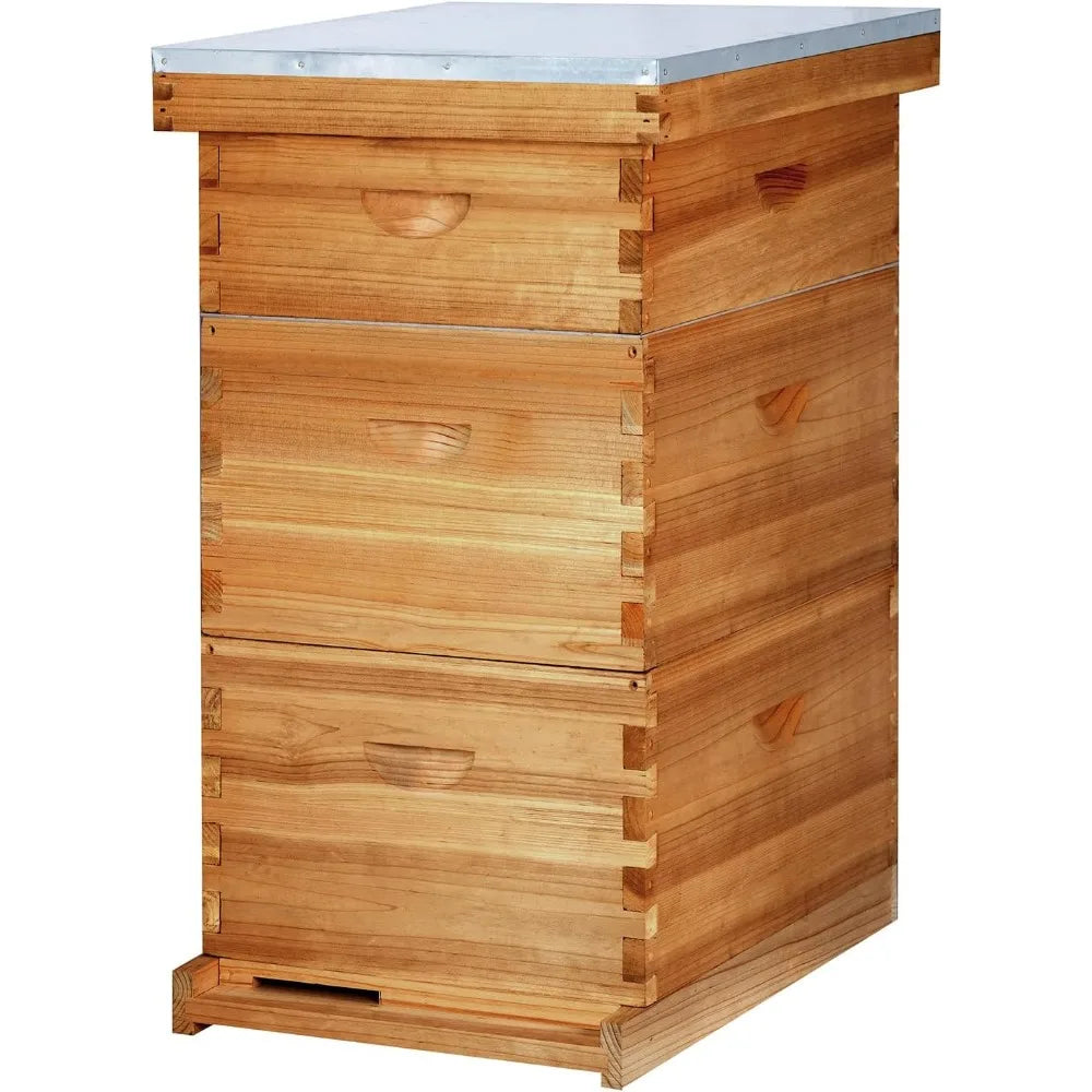 Bee Hives Boxes Starter Kit for Beekeepers 2 Deep Brood Box & 1 Medium Super Bee Box with Beehive Frames and Foundations