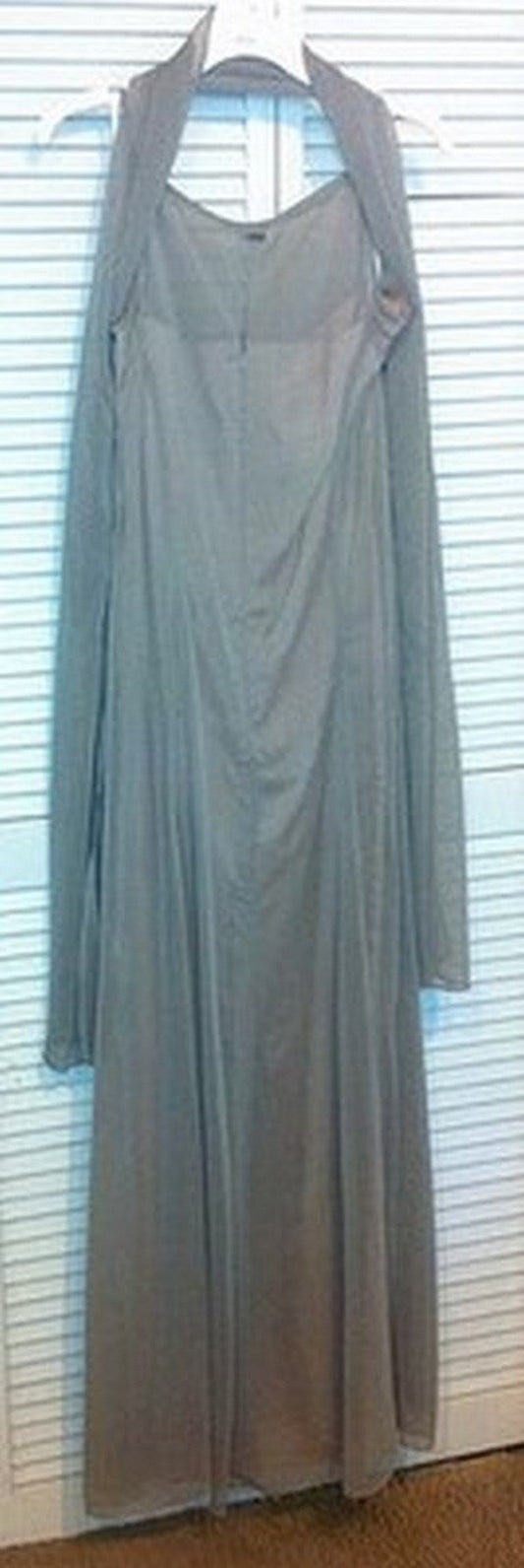 Women Dress Chiffon Gray-Lite Slvless Scarf Size 10