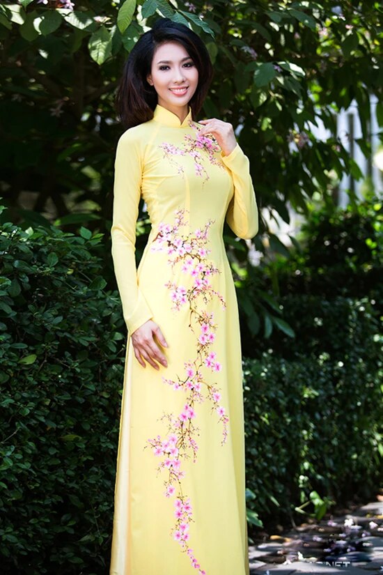 aodai vietnam clothing cheongsam aodai vietnam dress vietnamese two-piece cheon