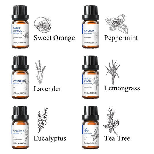 HIQILI 6 pcs Essential Oils Set for Diffuser Humidifier Eucalyptus Mint Laverde