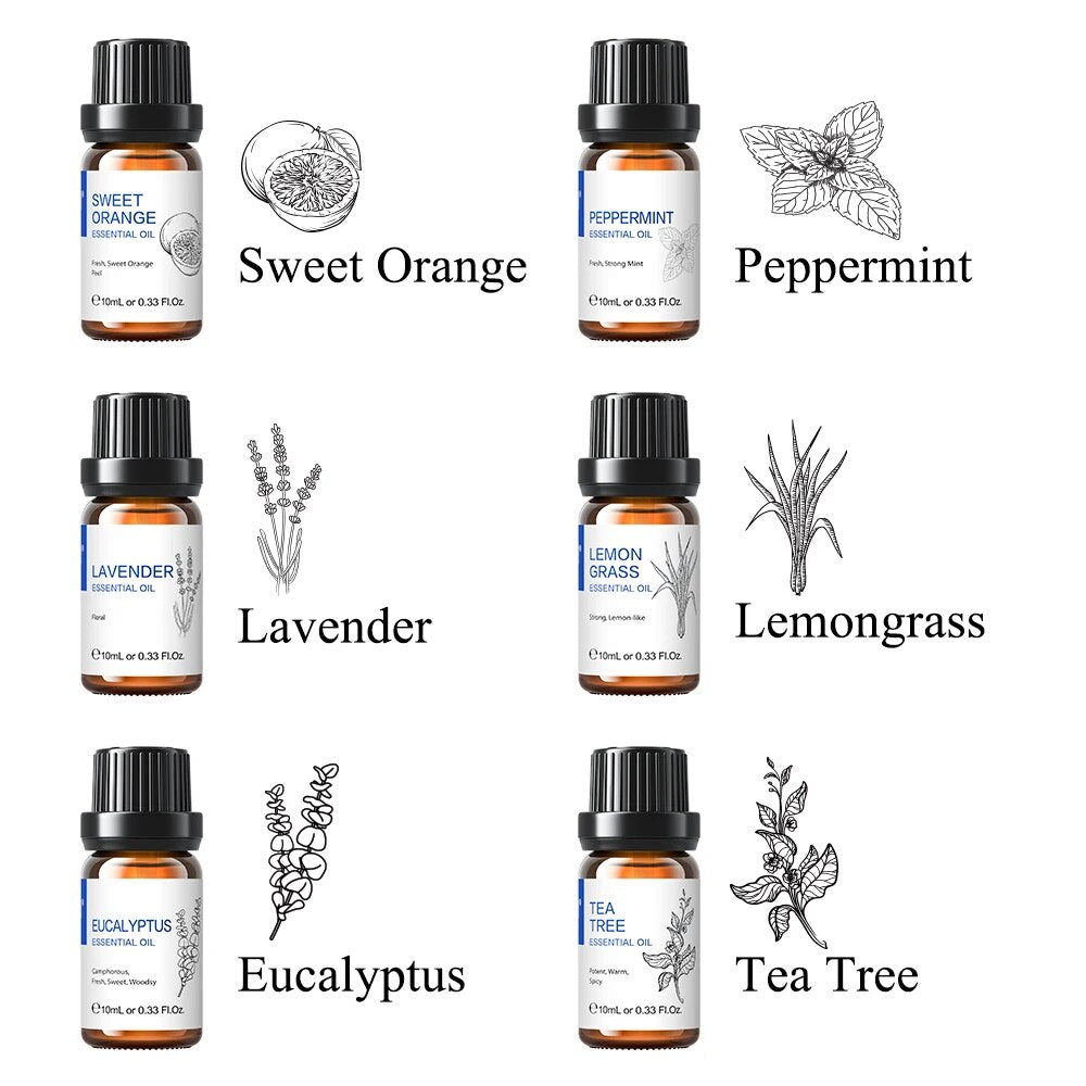 6 pcs Essential Oils Set for Diffuser Humidifier Eucalyptus Mint Laverde