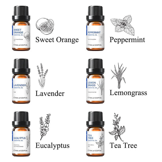 USA Essentials 6 pcs Essential Oils Set for Diffuser Humidifier Eucalyptus Mint Laverde