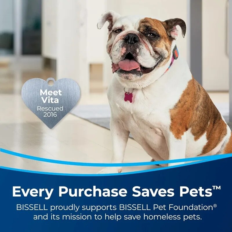 Portable Carpet & Upholstery Cleaner and Car/Auto Detailer with Deep Stain Tool image 2