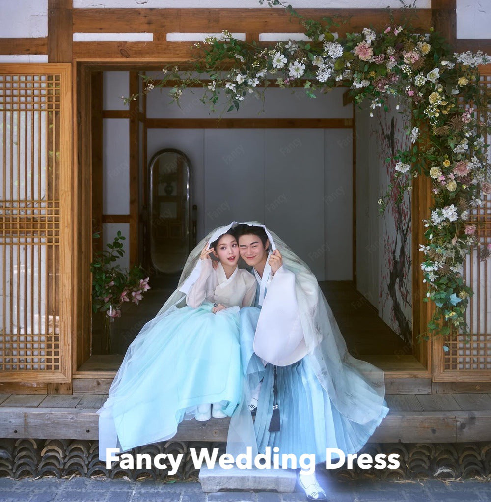 Fancy Simple V Neck Light Blue Wedding Dress Korea Po Shoot A Line Organza B image 2