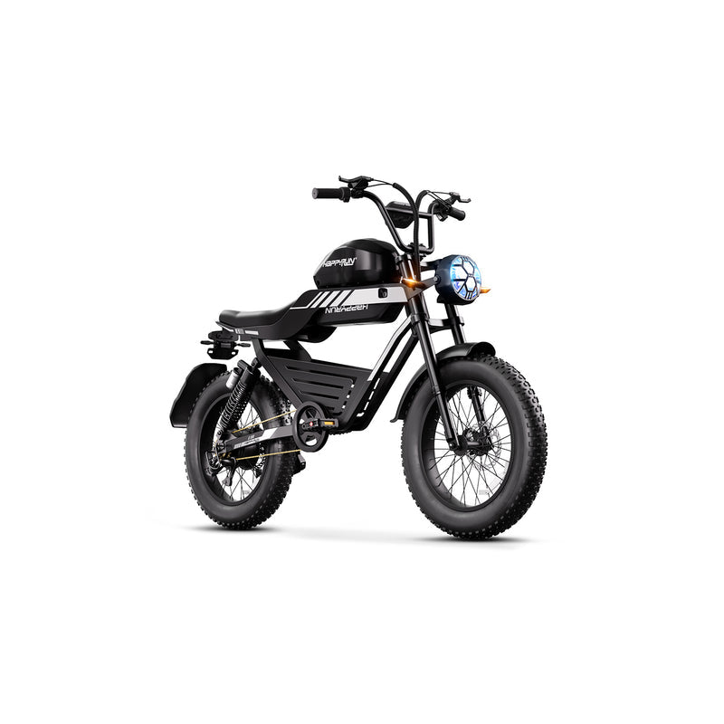 HAPPYRUN G100 Fat Tire Electric Bikes 2000W Peak Motor 18Ah+20Ah Dual Batteries image 2